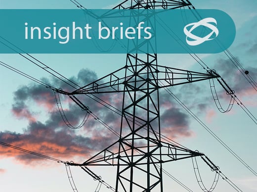 insight briefs pfer 2