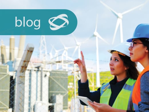 net zero review thumbnail jpg blog